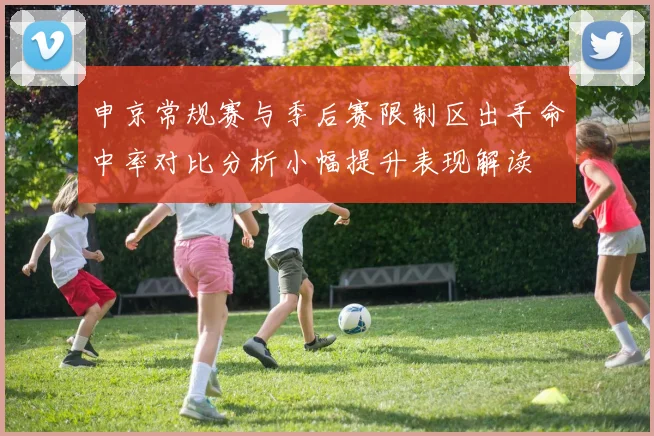 申京常规赛与季后赛限制区出手命中率对比分析小幅提升表现解读