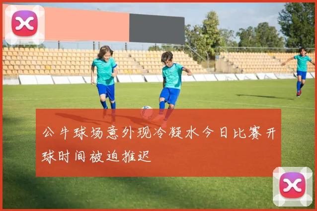 公牛球场意外现冷凝水今日比赛开球时间被迫推迟